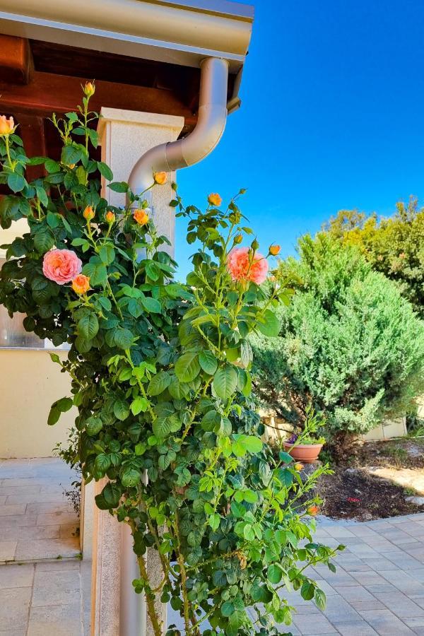Holiday Home - Istrian Dream With Swimming Pool 페로이 외부 사진